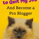 become a professional blogger