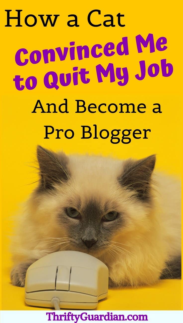 become a professional blogger