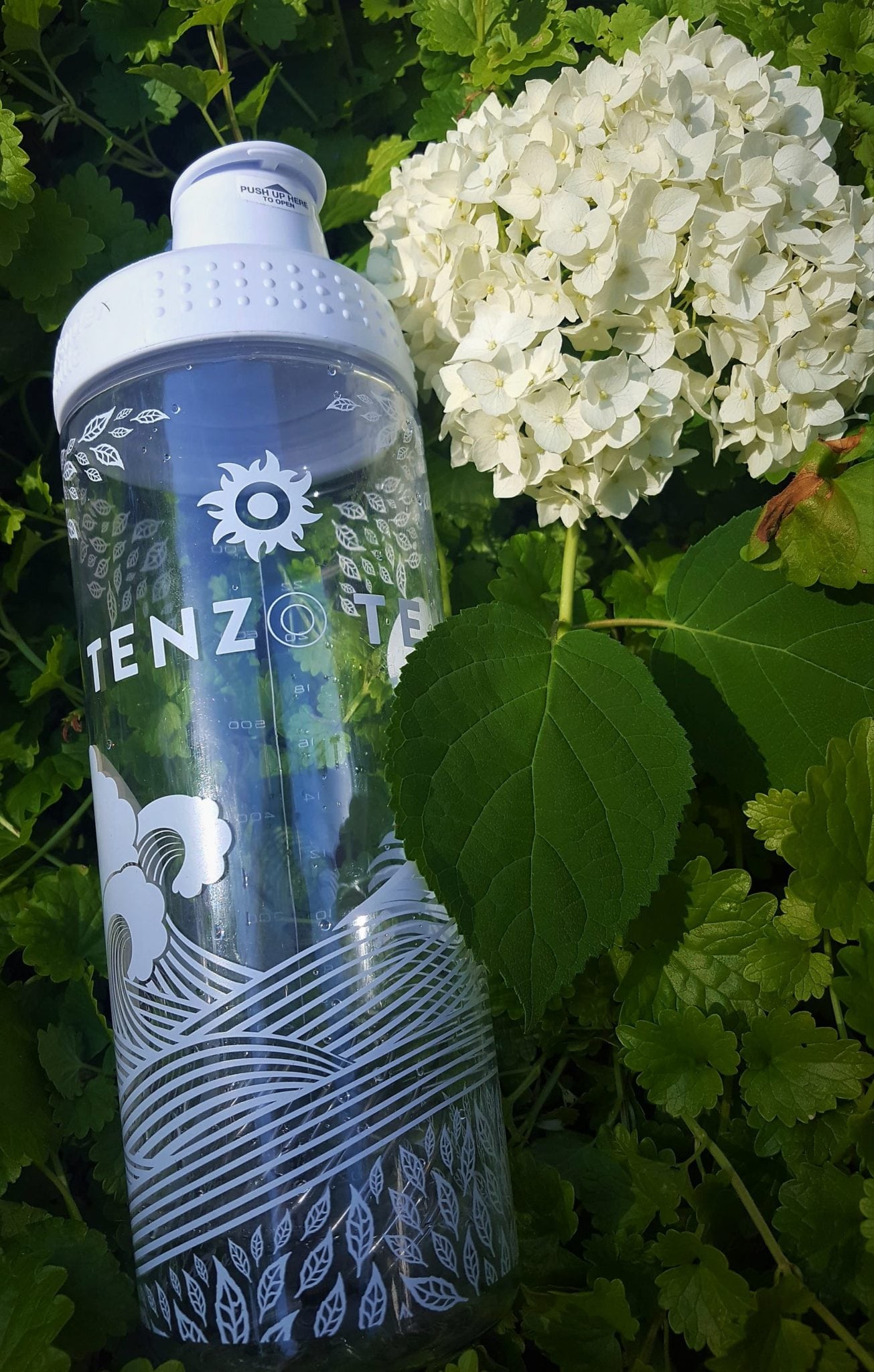 tenzo tea water bottle