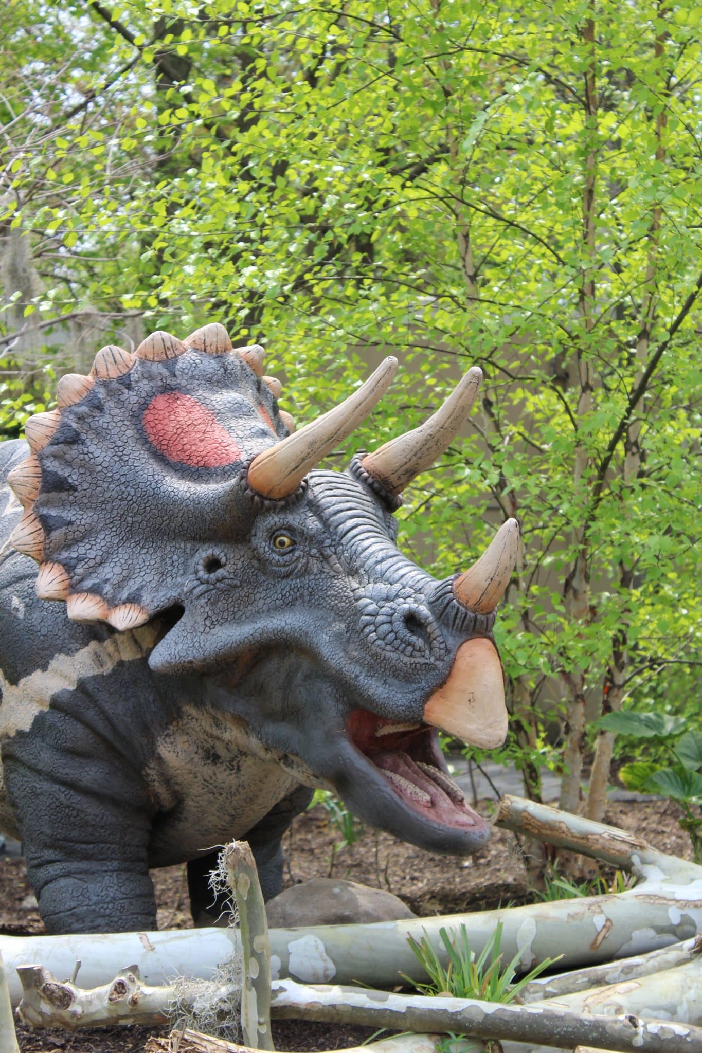 animatronic triceratops