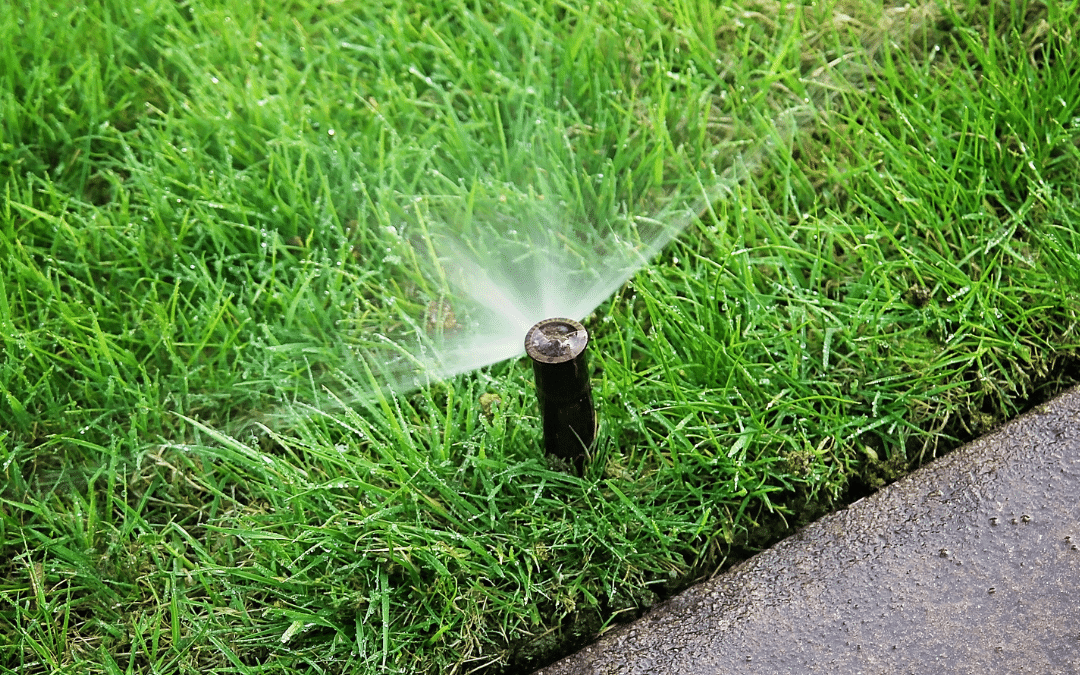 How Smart Irrigation Can Save You Water & Money