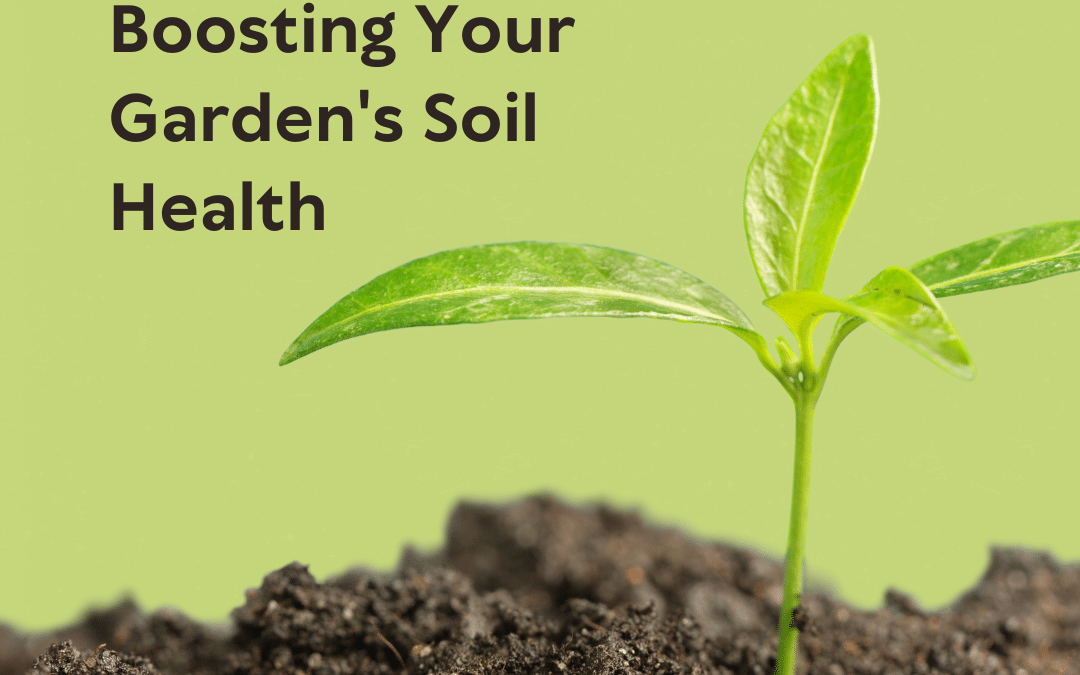 Easy Tips for Boosting Your Garden's Soil Health