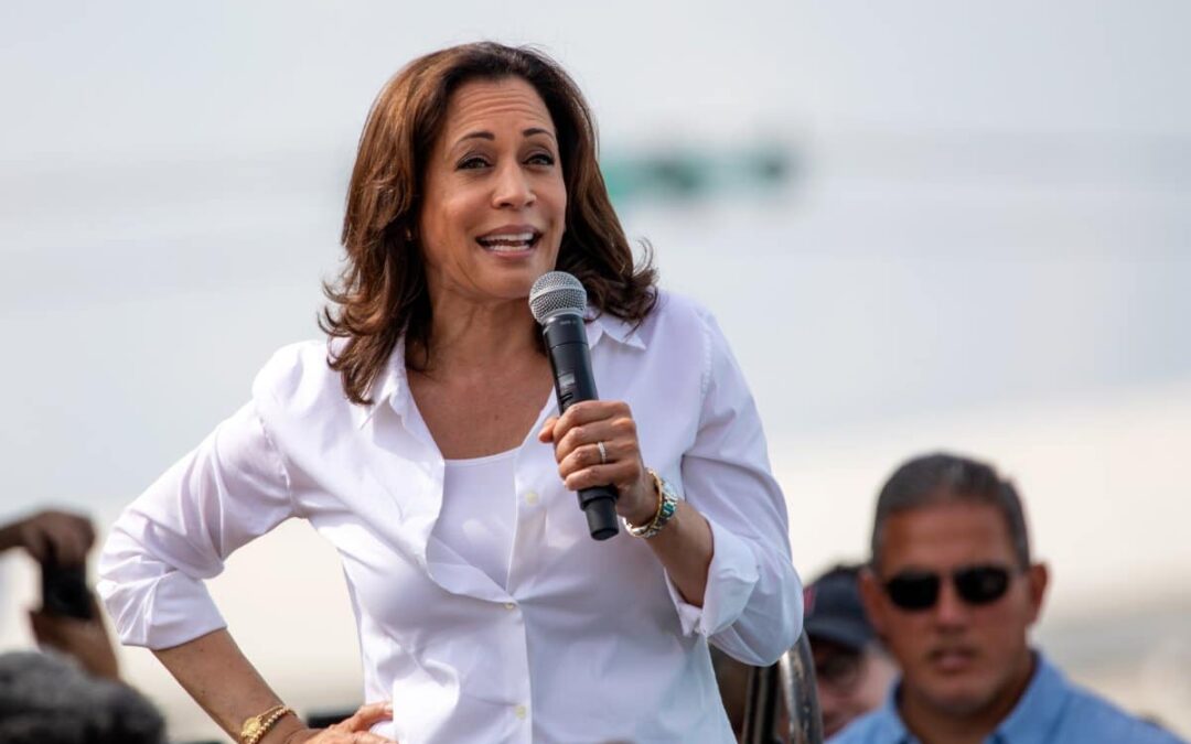 Vice President Kamala Harris Acknowledges 2024 Challenges as Trump Holds Significant Leads in Key State Polls