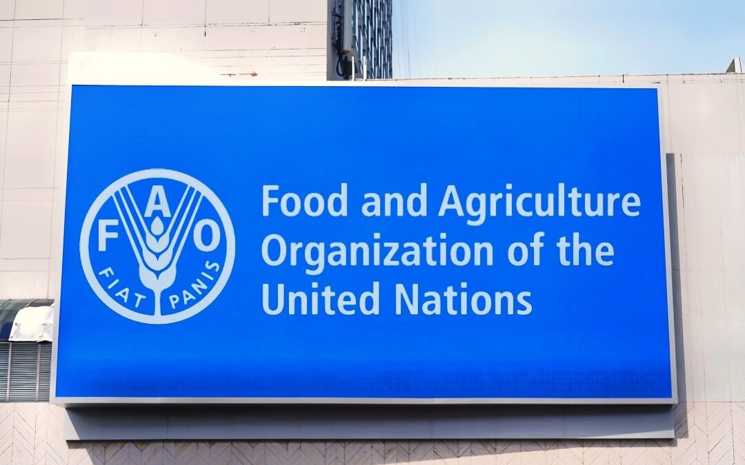 The United Nations Plans to Call Americans to Drastically Reduce Meat Consumption